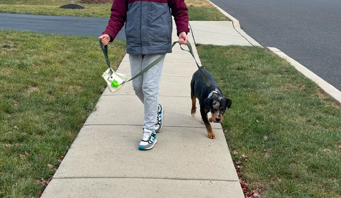 Pooch Pocket - Small/Medium